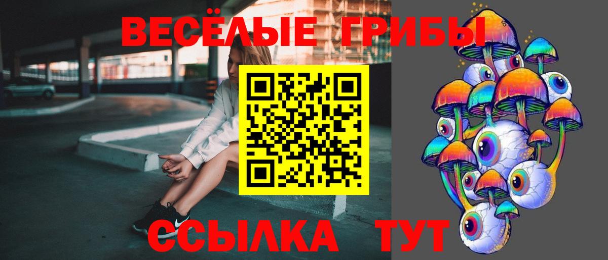 Вологда  Галлюциногенные грибы MAGIC MUSHROOMS  Вход с VPN  Псилоцибиновые грибы мухоморы 
